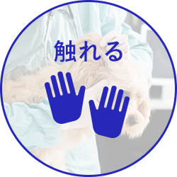 触れる