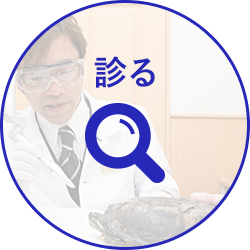 診る