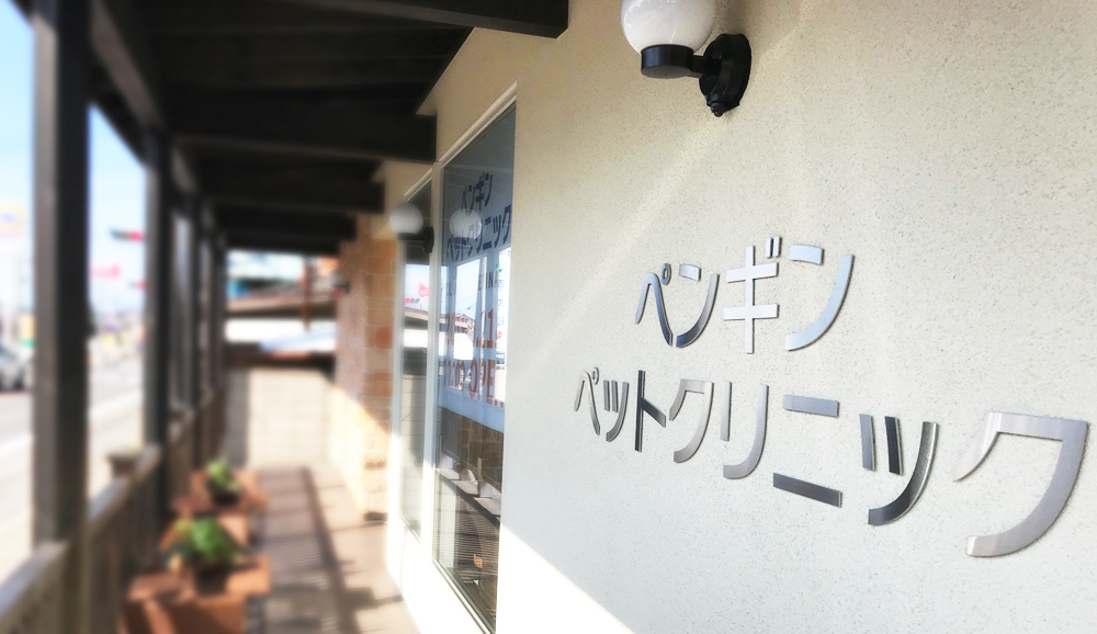 医院情報