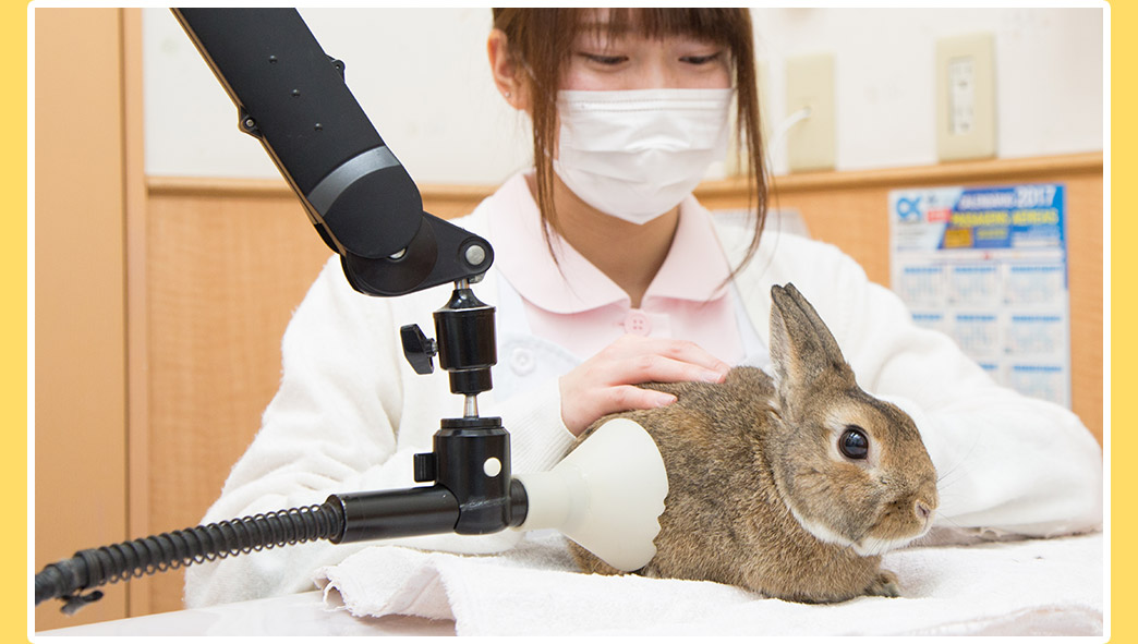 メインビジュアル