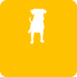 イヌ