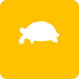 カメ
