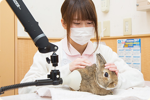 認定動物看護師